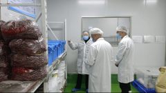 <b>市市场监管局加强食物出产平安监管守护节日“</b>